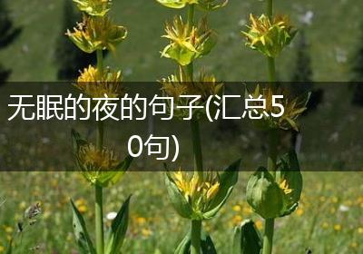 无眠的夜的句子(汇总50句)