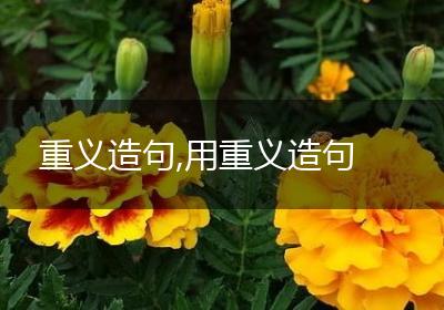 重义造句,用重义造句