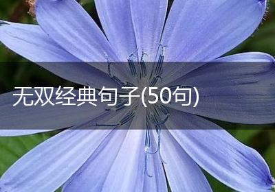 无双经典句子(50句)