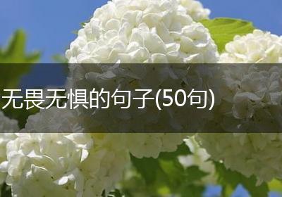 无畏无惧的句子(50句)