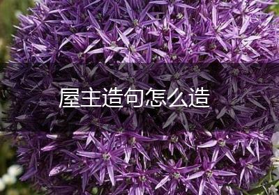 屋主造句怎么造