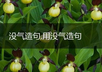 没气造句,用没气造句