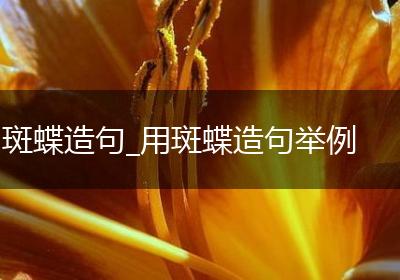 斑蝶造句_用斑蝶造句举例
