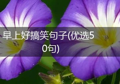 早上好搞笑句子(优选50句)