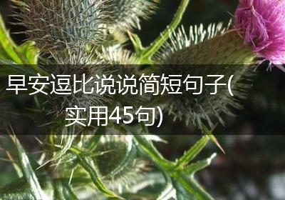 早安逗比说说简短句子(实用45句)