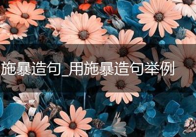 施暴造句_用施暴造句举例