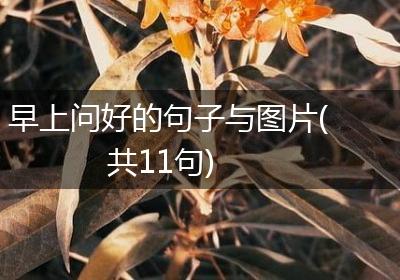 早上问好的句子与图片(共11句)