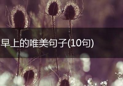早上的唯美句子(10句)
