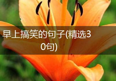 早上搞笑的句子(精选30句)