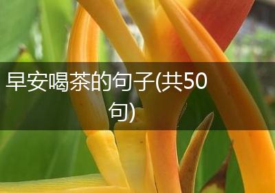 早安喝茶的句子(共50句)