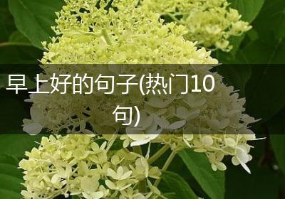 早上好的句子(热门10句)