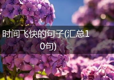 时间飞快的句子(汇总10句)
