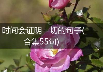 时间会证明一切的句子(合集55句)