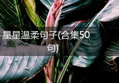 星星温柔句子(合集50句)