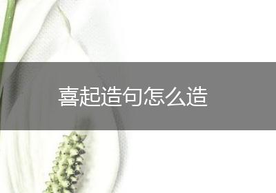 喜起造句怎么造