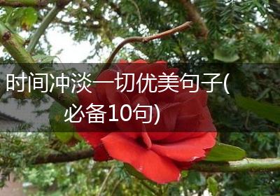 时间冲淡一切优美句子(必备10句)