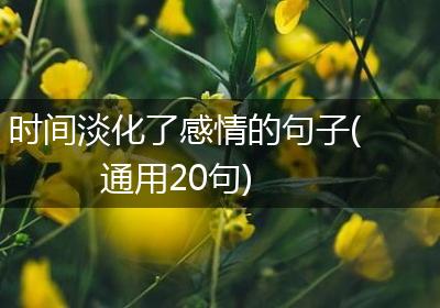 时间淡化了感情的句子(通用20句)