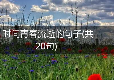 时间青春流逝的句子(共20句)