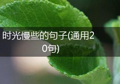 时光慢些的句子(通用20句)