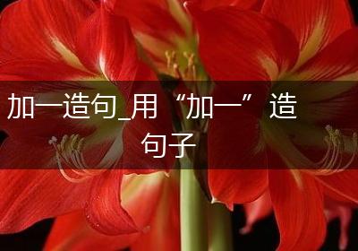 加一造句_用“加一”造句子