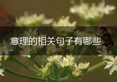 意理的相关句子有哪些