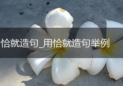 恰就造句_用恰就造句举例