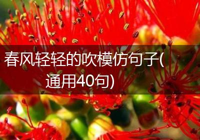 春风轻轻的吹模仿句子(通用40句)