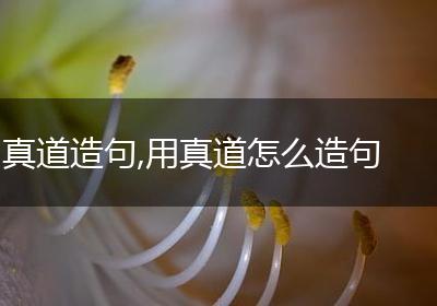 真道造句,用真道怎么造句