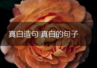 真白造句 真白的句子