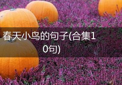 春天小鸟的句子(合集10句)