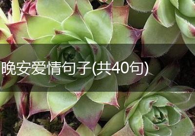 晚安爱情句子(共40句)