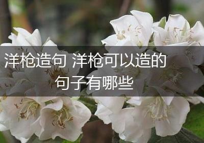 洋枪造句 洋枪可以造的句子有哪些