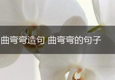 曲弯弯造句 曲弯弯的句子