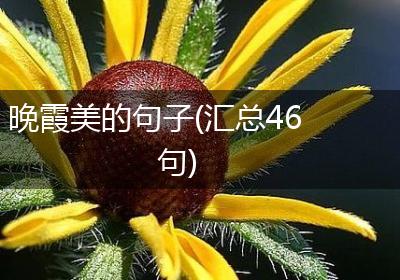 晚霞美的句子(汇总46句)