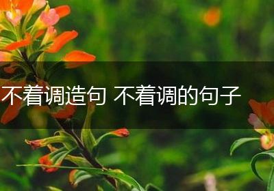 不着调造句 不着调的句子