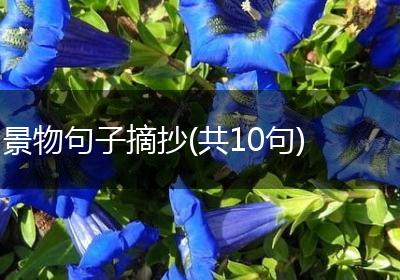 景物句子摘抄(共10句)