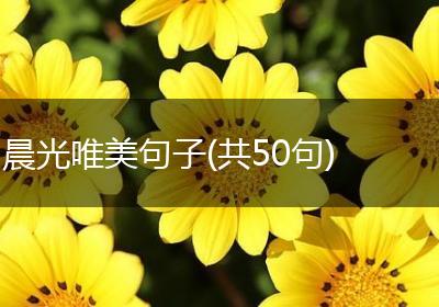 晨光唯美句子(共50句)