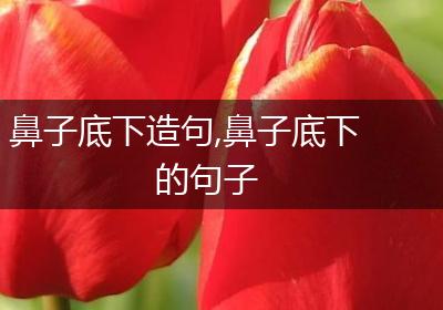 鼻子底下造句,鼻子底下的句子