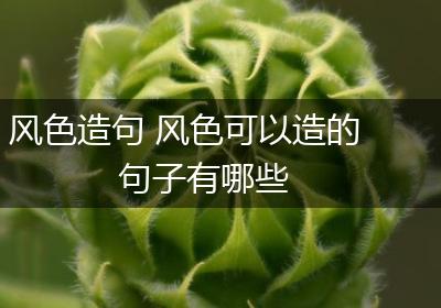 风色造句 风色可以造的句子有哪些