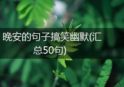 晚安的句子搞笑幽默(汇总50句)
