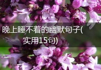 晚上睡不着的幽默句子(实用15句)