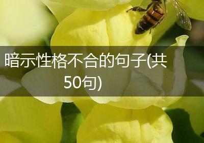 暗示性格不合的句子(共50句)