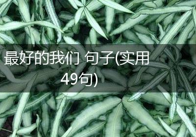 最好的我们 句子(实用49句)