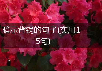 暗示背锅的句子(实用15句)