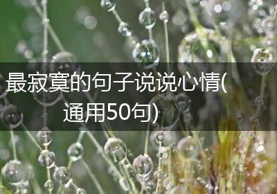 最寂寞的句子说说心情(通用50句)