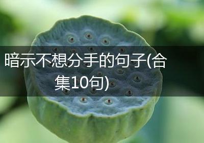 暗示不想分手的句子(合集10句)