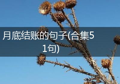 月底结账的句子(合集51句)
