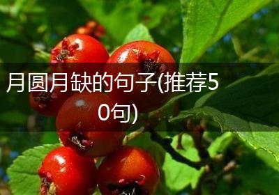 月圆月缺的句子(推荐50句)