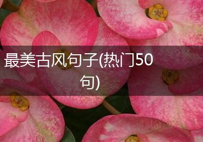 最美古风句子(热门50句)