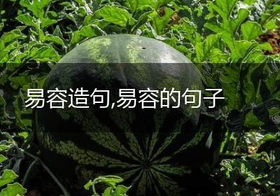 易容造句,易容的句子